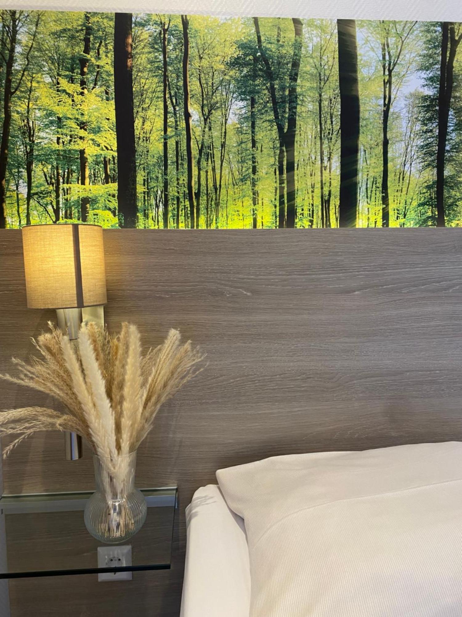 Hotel Scheid Schriesheim Kültér fotó
