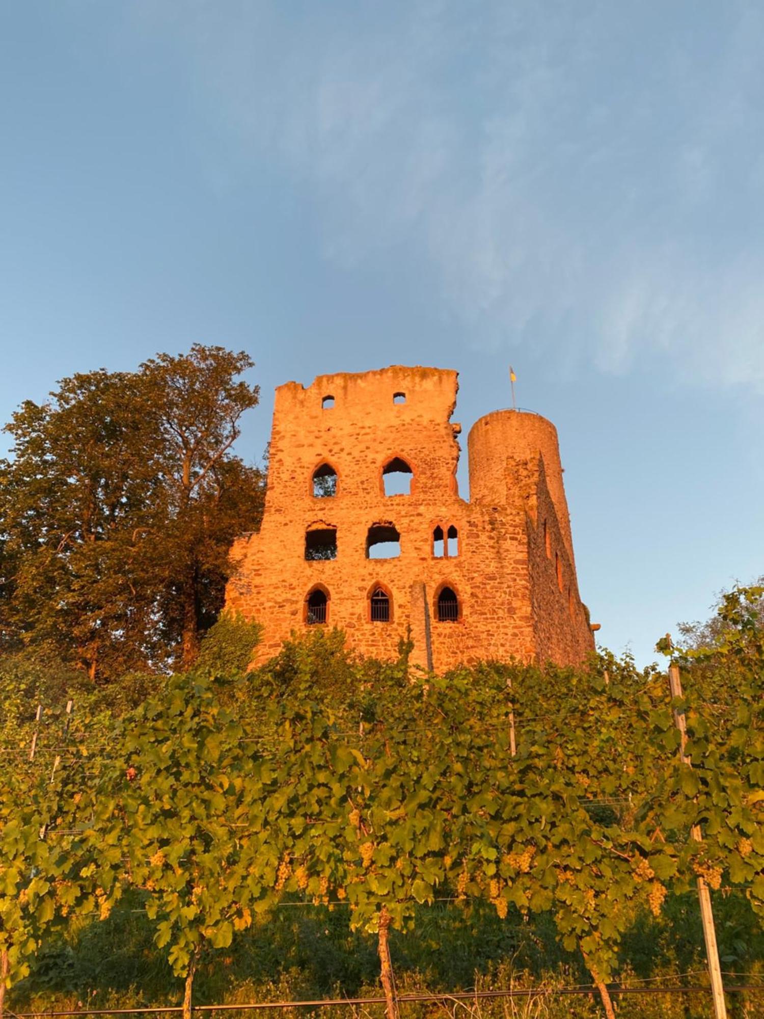 Hotel Scheid Schriesheim Kültér fotó